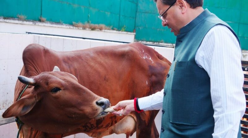 मुख्यमंत्री धामी ने गोवर्धन पर्व पर गौ सेवा की, जनता से कहा – भक्ति और प्रकृति संरक्षण का पर्व बनाएं।