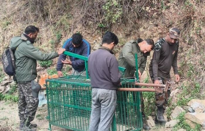 मानव-वन्यजीव संघर्ष पर कड़ा कदम: गुलदार को पकड़ने के साथ ही नष्ट करने के आदेश